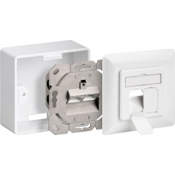 Combidoos CAT6 2 X RJ45 01