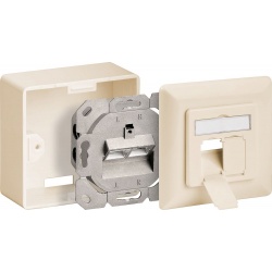 Combidoos CAT6A 2 X RJ45 01