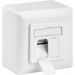 Combidoos CAT6A 2 X RJ45
