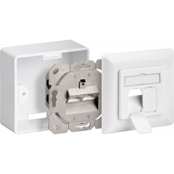 Combidoos CAT6A 2 X RJ45 01