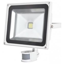 Ledschijnwerper met PIR 20 Watt wit