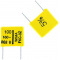 100pF 5% 160V FKC3  Condensator WIMA