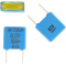 10nF 10% 100V FKS2  Condensator WIMA