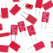 10nF 20% 63V MKS02  Condensator WIMA
