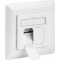Inbouwdoos CAT6 2 X RJ45